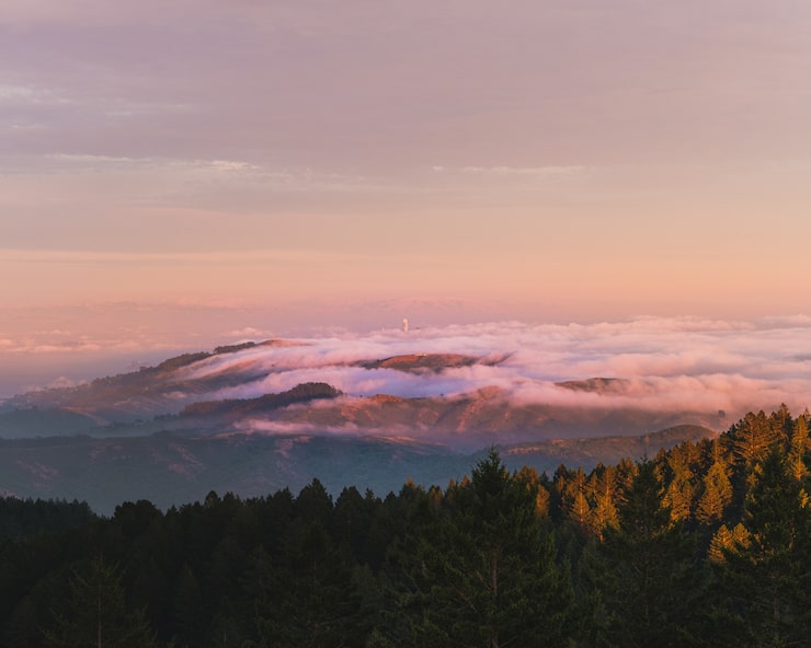 Ruhige Landschaft bei Sonnenaufgang